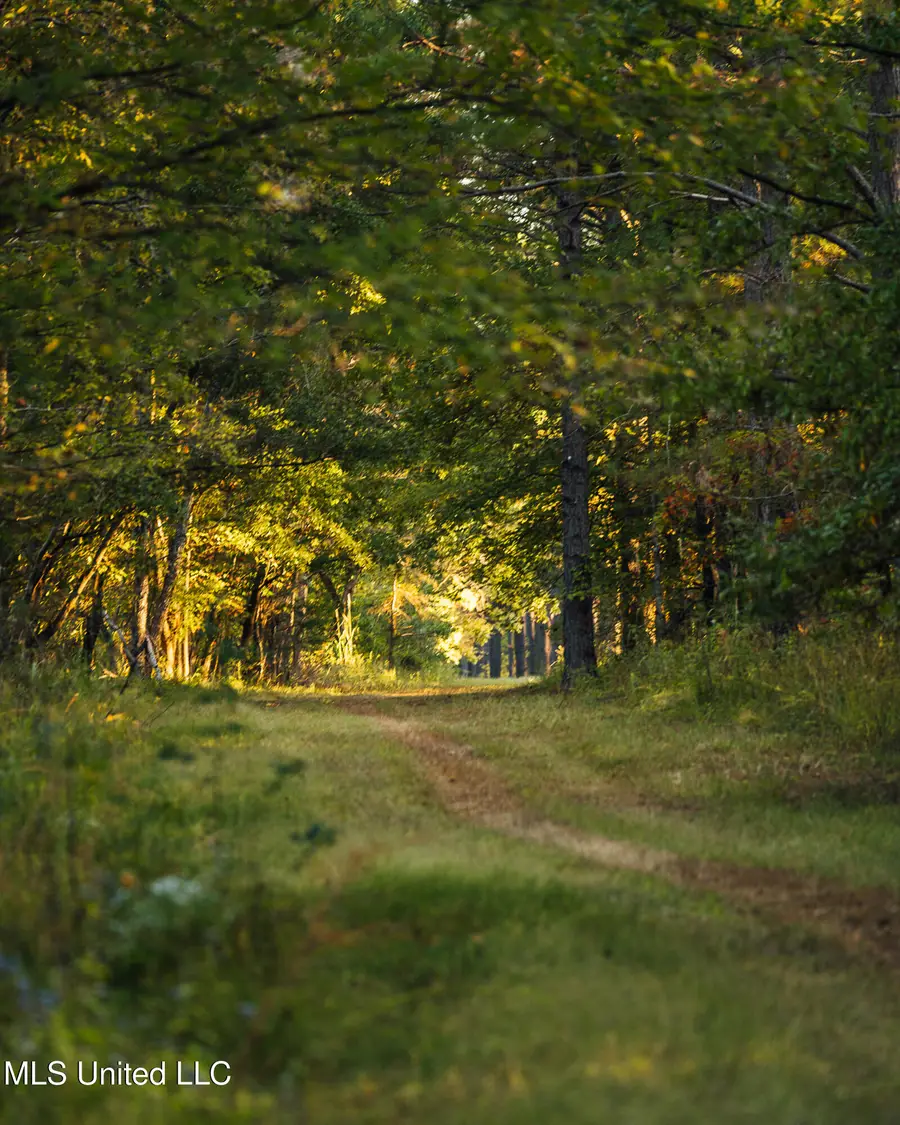 Mississippi 4, Holly Springs, MS 38635 - #2