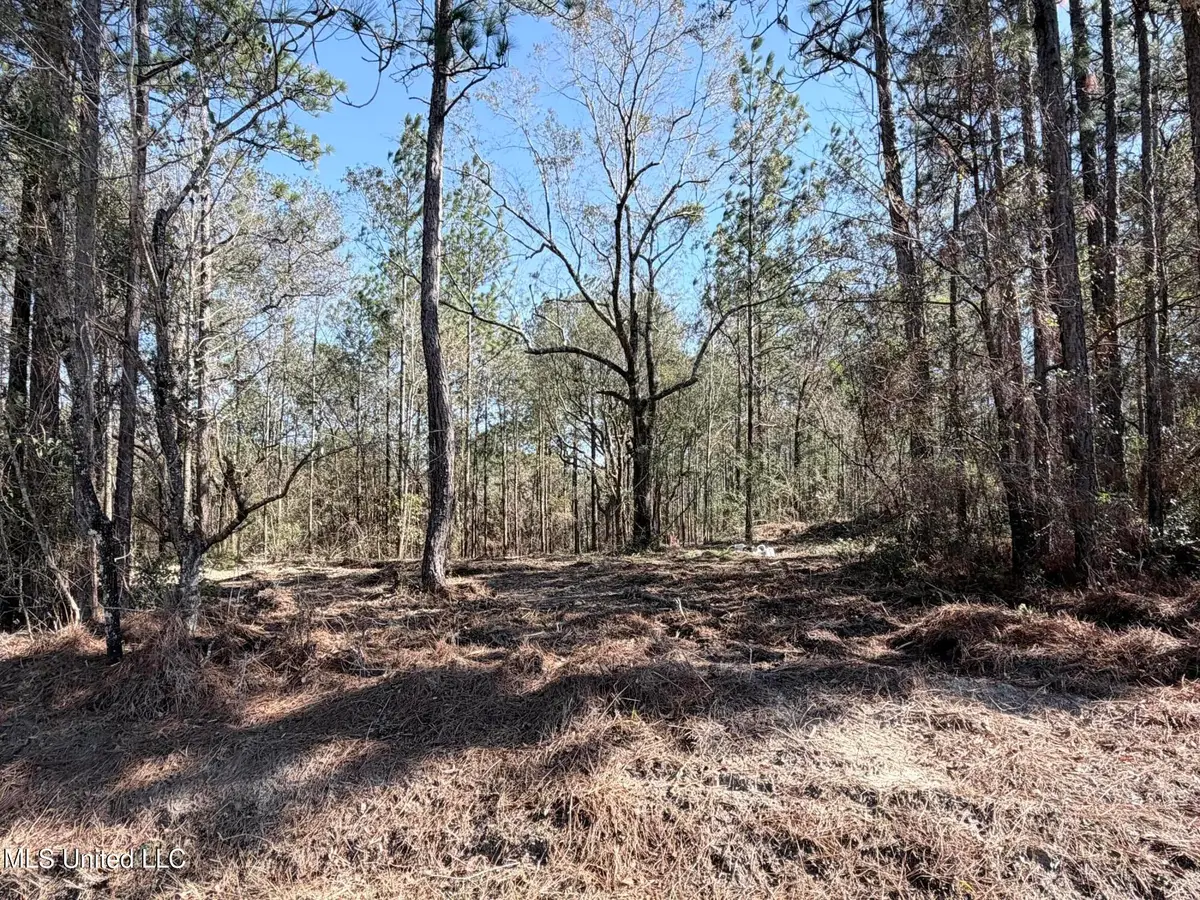 Red Bluff Road, Moss Point, MS 39562 - #1