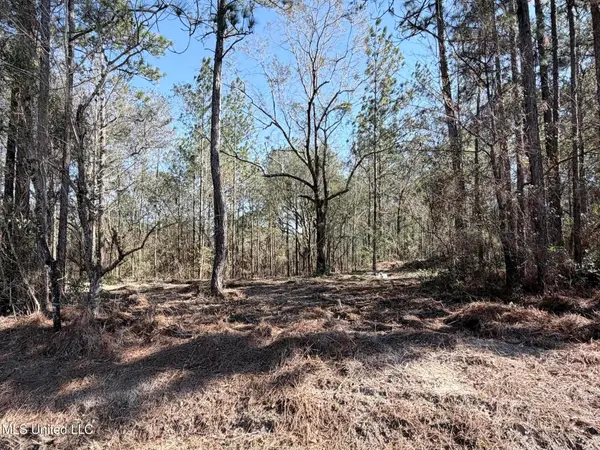 Red Bluff Road, Moss Point, MS 39562