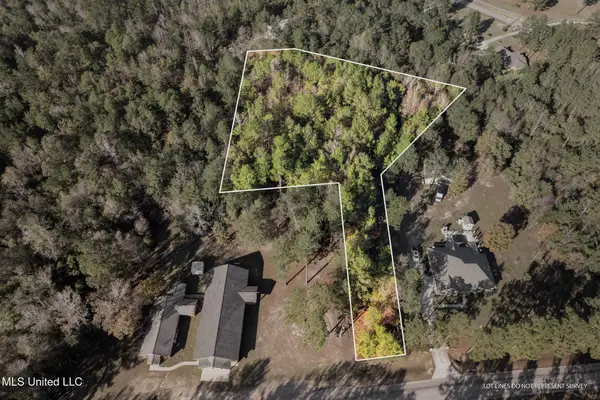 2.50 Acres Old Okahola School Road, Purvis, MS 39475