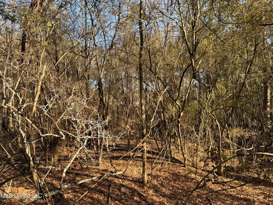 Franklin Street, Summit, MS 39666 - #3