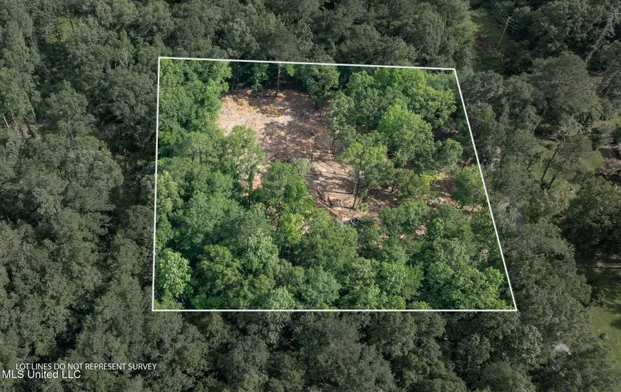 Lot 4 (3.86 Acres) Beverly Hills Drive, Hattiesburg, MS 39402 - Image #2