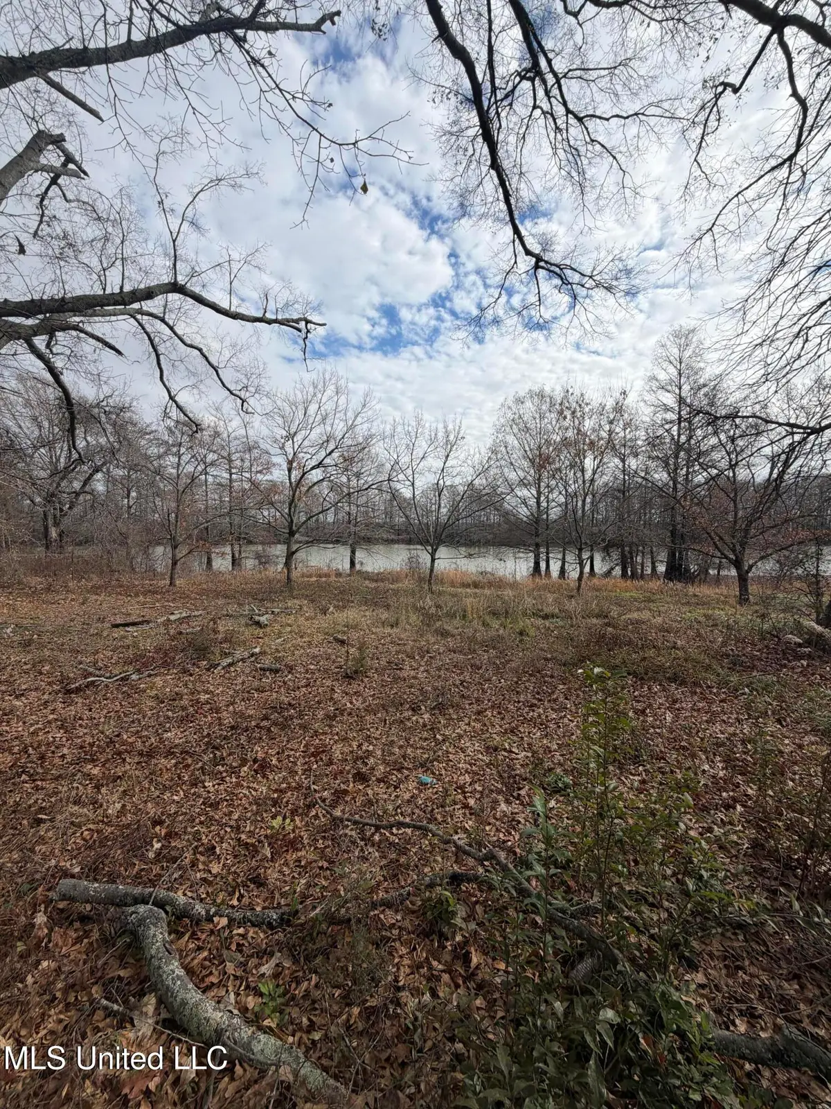 Lakeshore Drive Street, Itta Bena, MS 38941 - #1