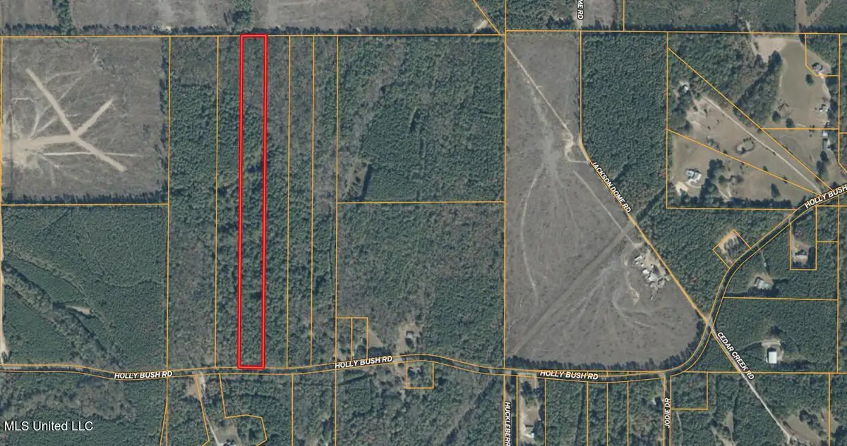 0000 Holly Bush Road, Pelahatchie, MS 39145 - Image #1
