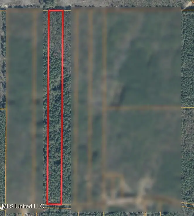 0000 Holly Bush Road, Pelahatchie, MS 39145 - Image #2