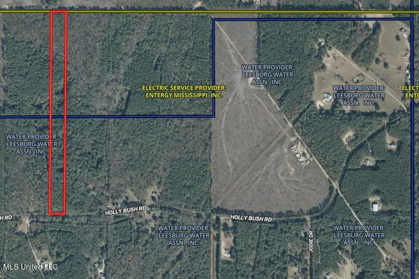 0000 Holly Bush Road, Pelahatchie, MS 39145 - Image #3