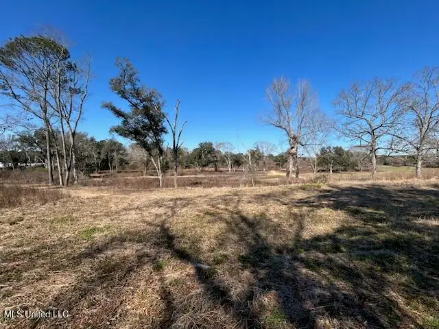 Sawmill Road, Sandy Hook, MS 39478 - #3