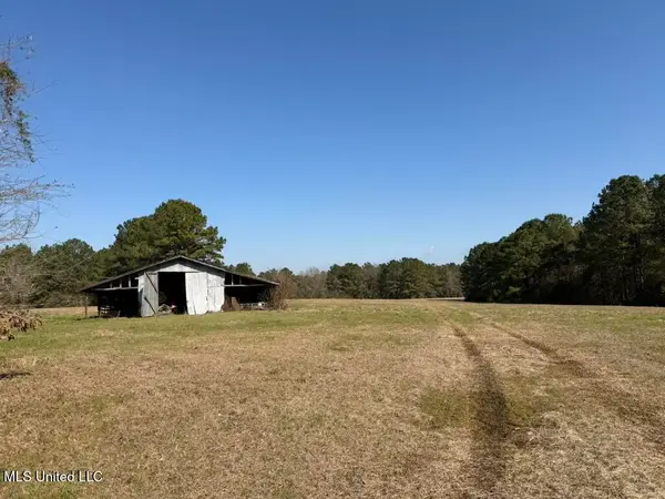 Water Tank Road, Sandy Hook, MS 39478