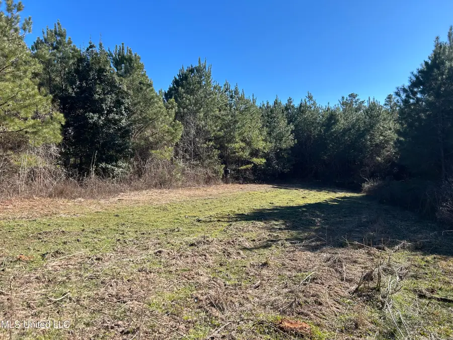 307 Willis Road, Decatur, MS 39327 - #3