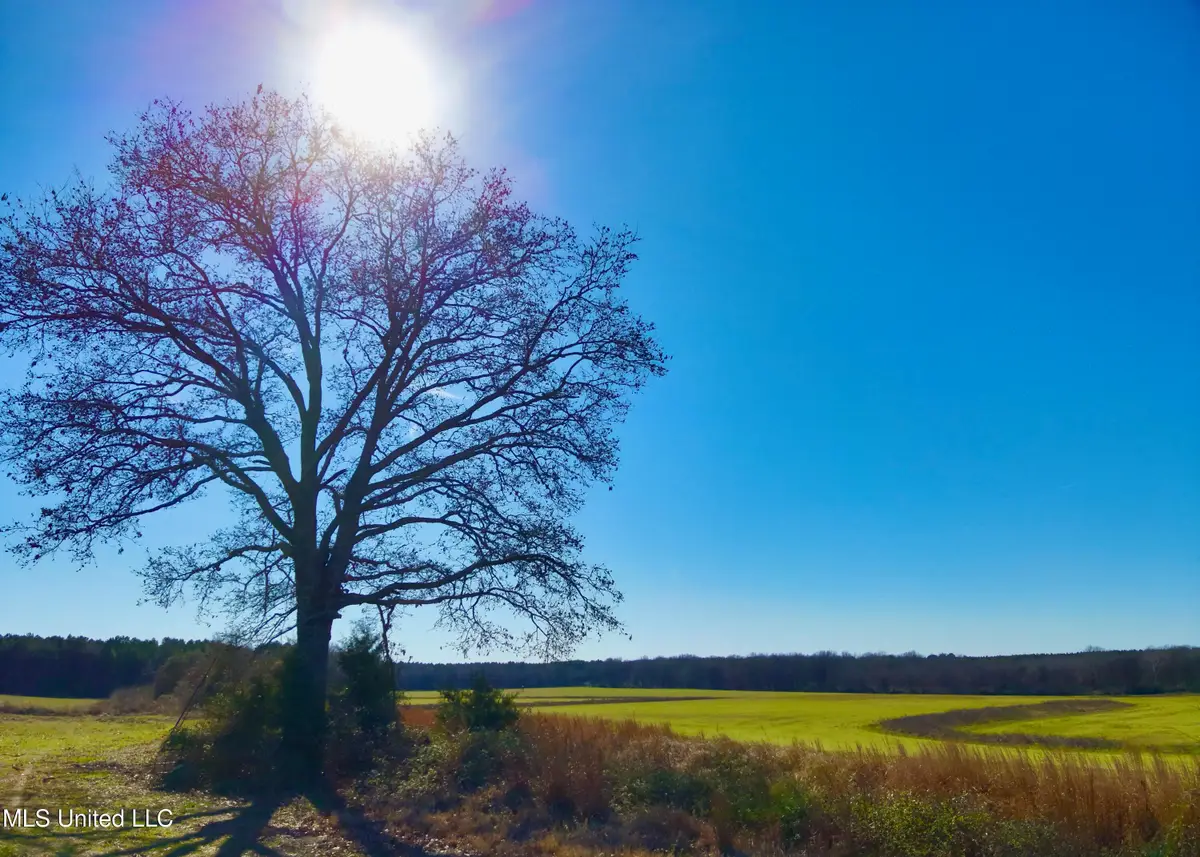 Newport Road, Lexington, MS 39095 - #1