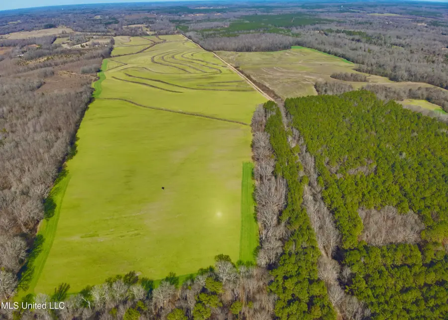 Newport Road, Lexington, MS 39095 - #2