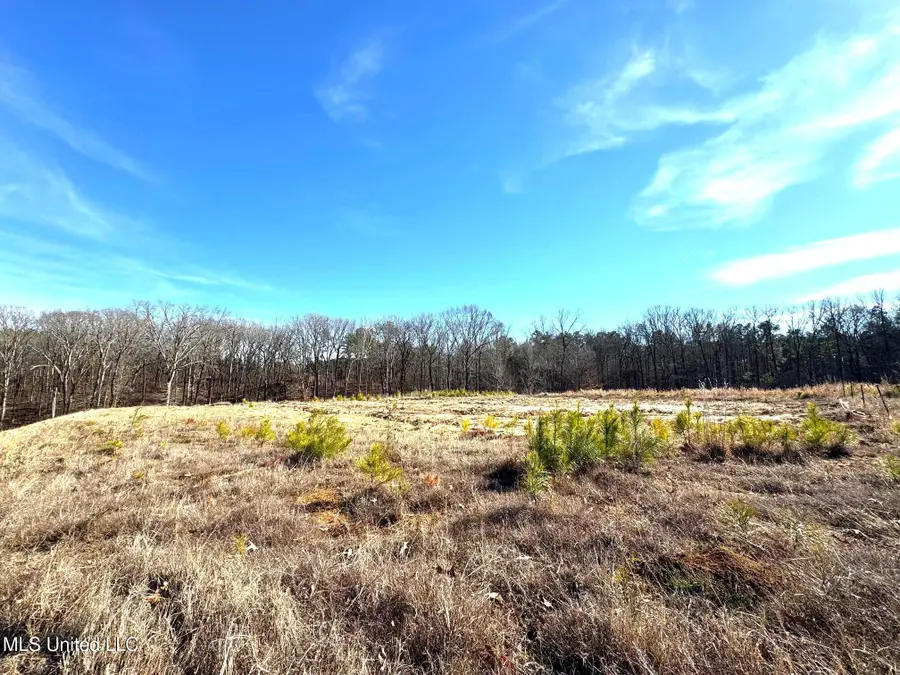 2939 Cyrene Drive, Hernando, MS 38632 - #3