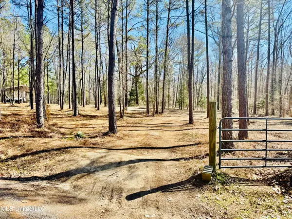 104 Mamie Mangum Road, Florence, MS 39073