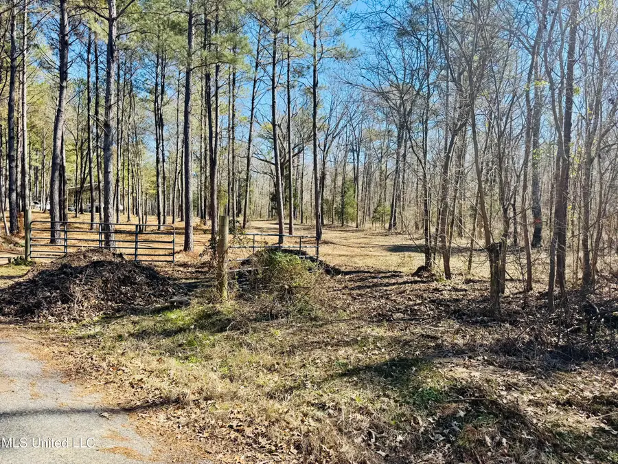 104 Mamie Mangum Road, Florence, MS 39073 - Image #2