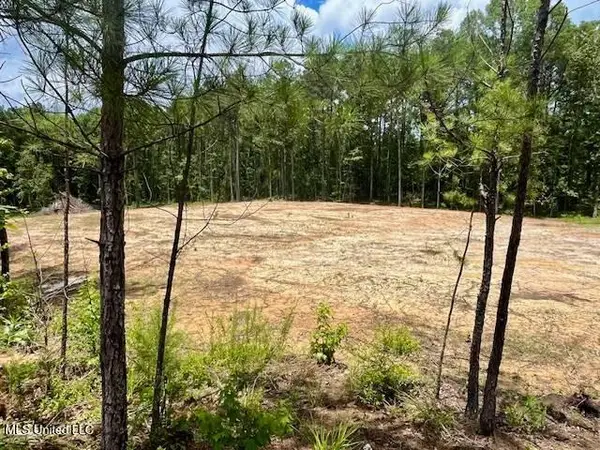 278 Poplar Springs Road, Mendenhall, MS 39114