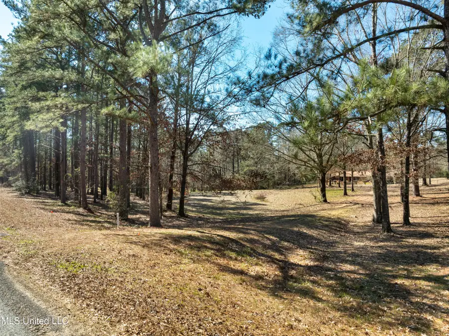 1637 Lake Lincoln Drive, Brookhaven, MS 39601 - #3