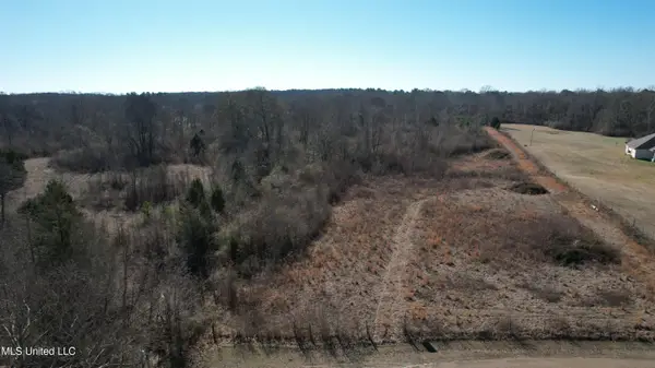 000 Levon Owens Drive, Terry, MS 39170