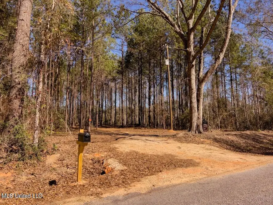 24 Nelson Road, Poplarville, MS 39470 - #2