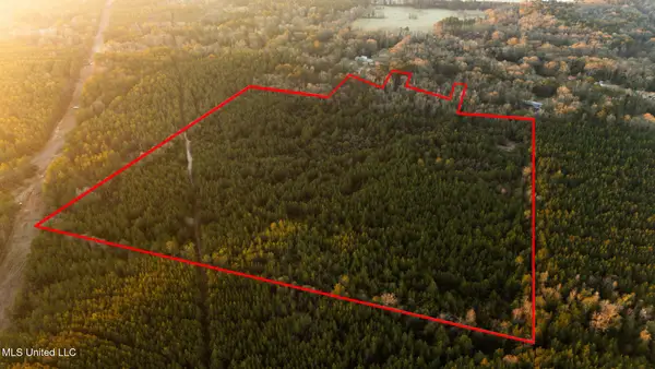 Foster Mcconnell Road, Seminary, MS 39479