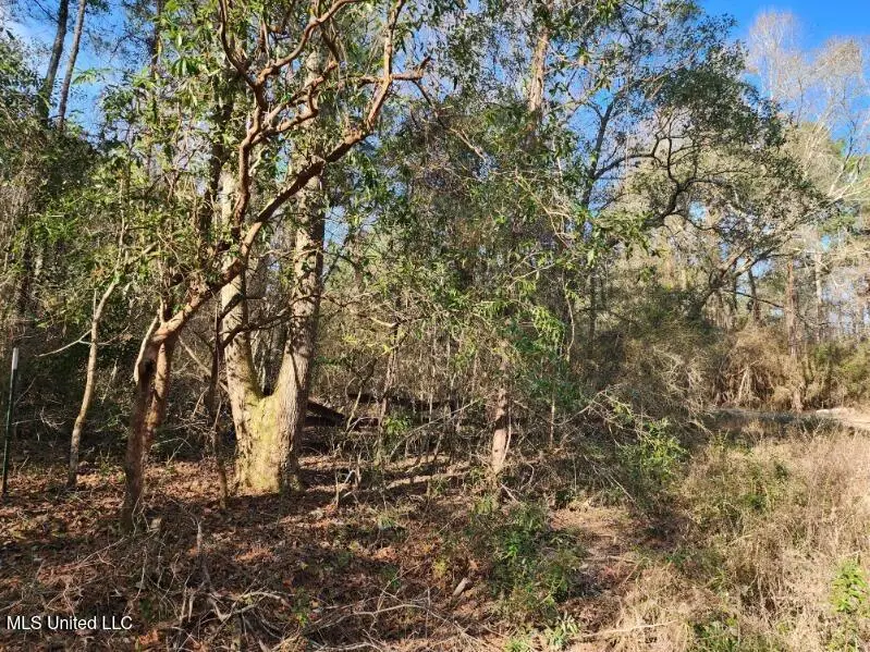 Kupfer Lane, Poplarville, MS 39470 - #2