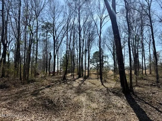 NW Boyd Trail, Brookhaven, MS 39601 - #2