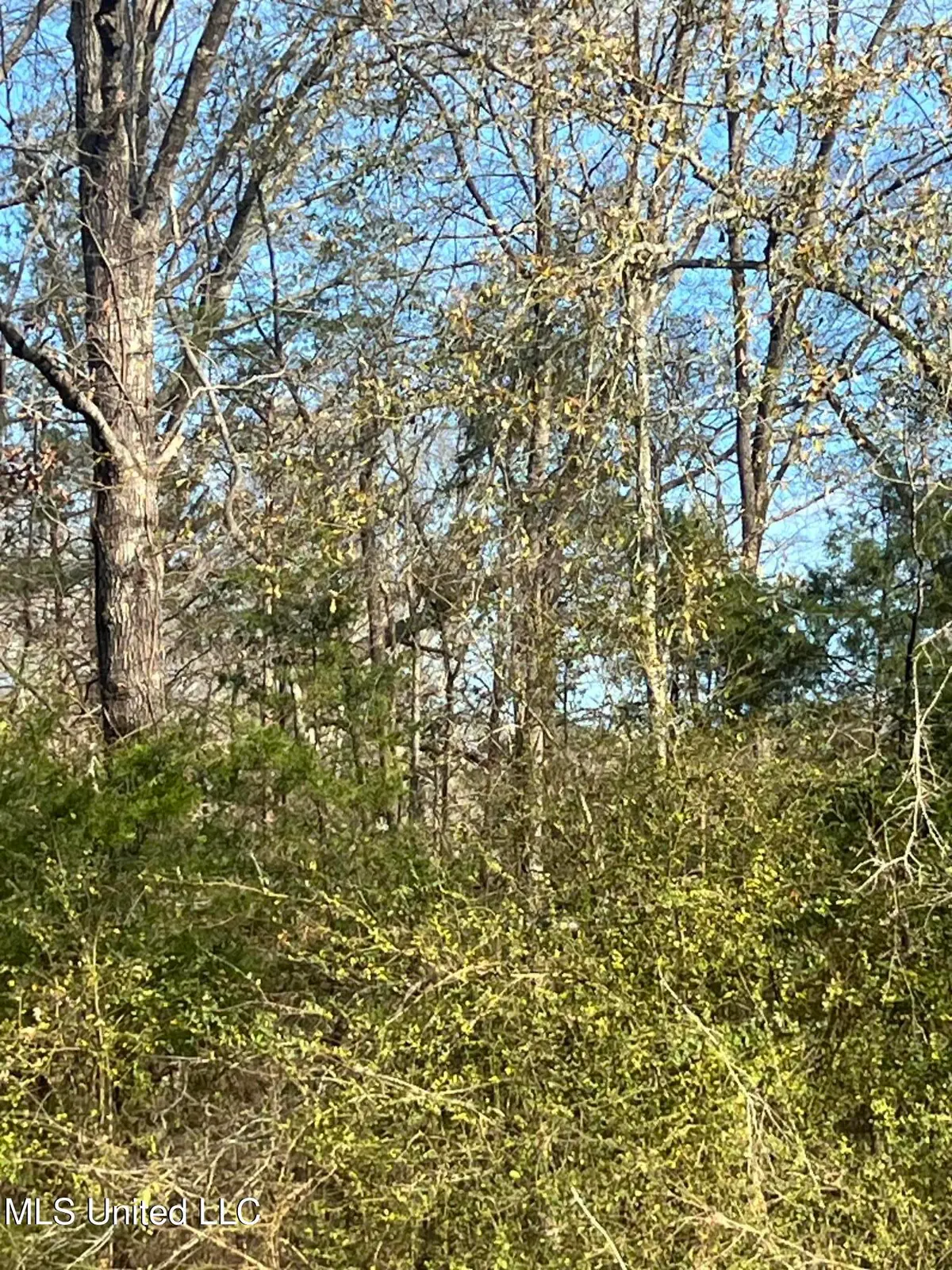 0 Adams Station Road, Utica, MS 39175 - #1