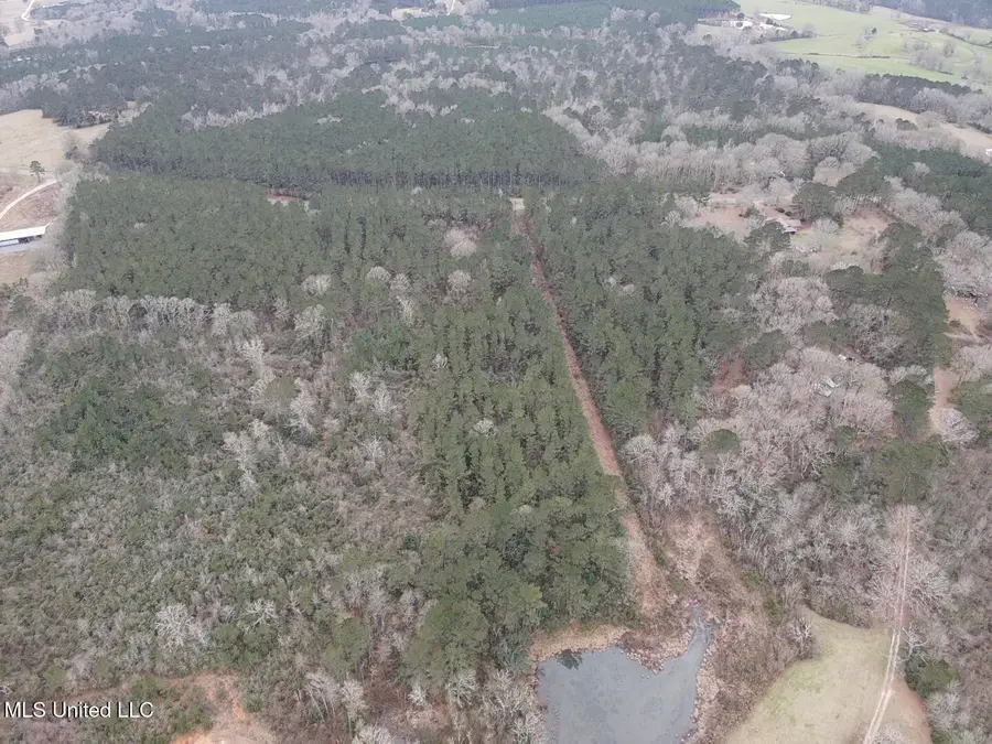 0 Magnolia Progress Road, Magnolia, MS 39652 - #3