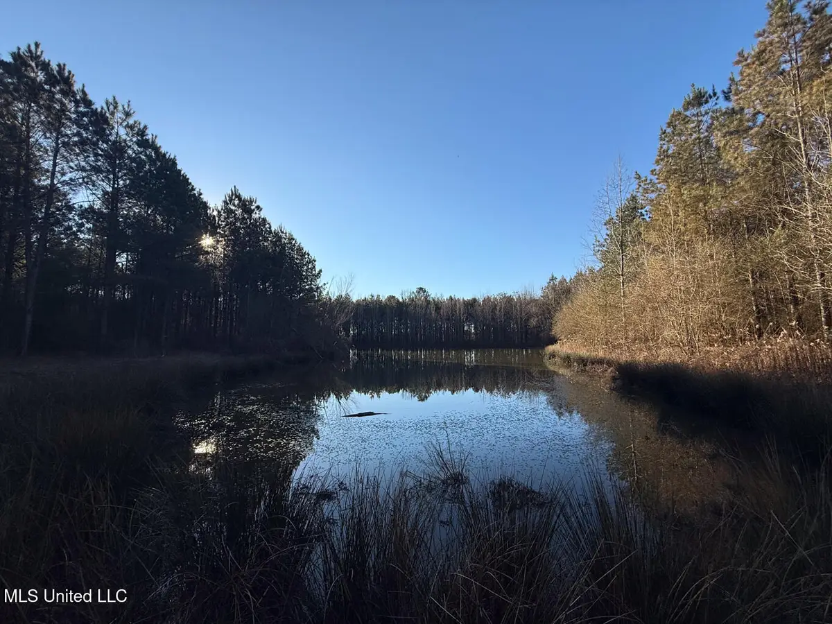 1145 Ludlow Road, Lena, MS 39094 - #1