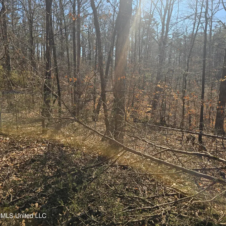 1204 Lake Breeze Drive, Myrtle, MS 38650 - #2