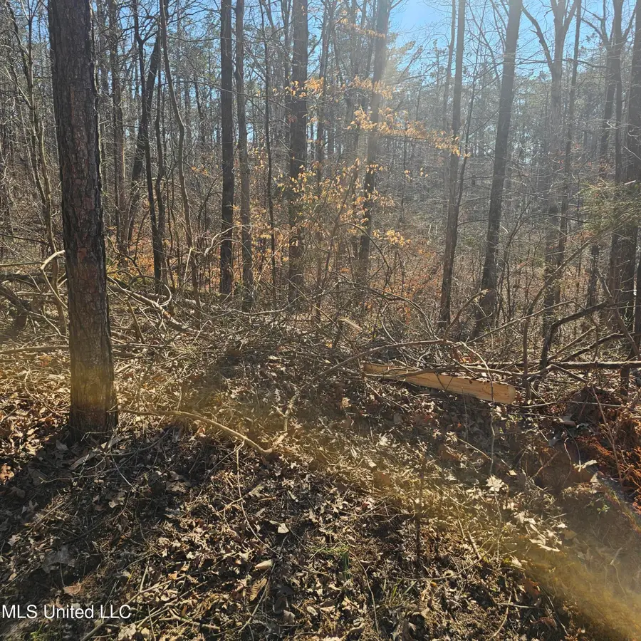 1204 Lake Breeze Drive, Myrtle, MS 38650 - #3