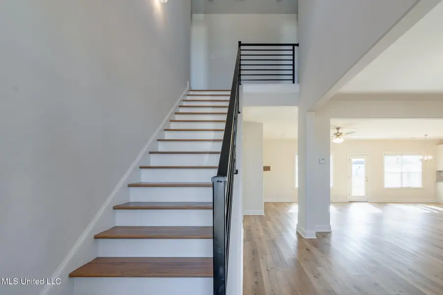 10319 March Meadows Way, Olive Branch, MS 38654 - #3