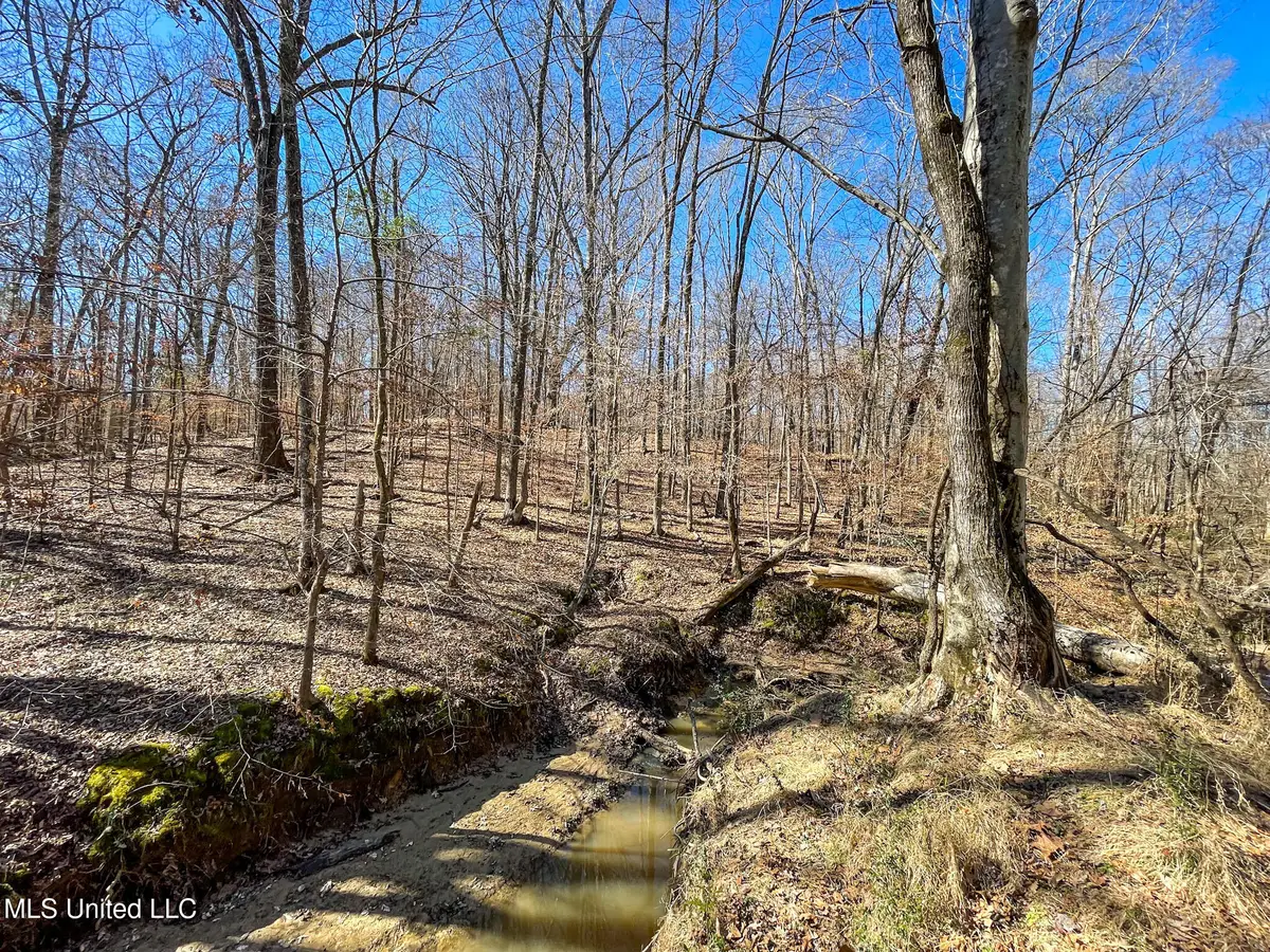 001 Robinson Springs Road, Flora, MS 39071 - #1