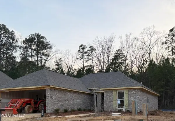 538 Stone Brook Place, Brandon, MS 39042