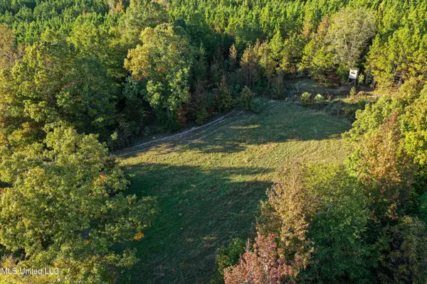 01 County Road 107, Pittsboro, MS 38951