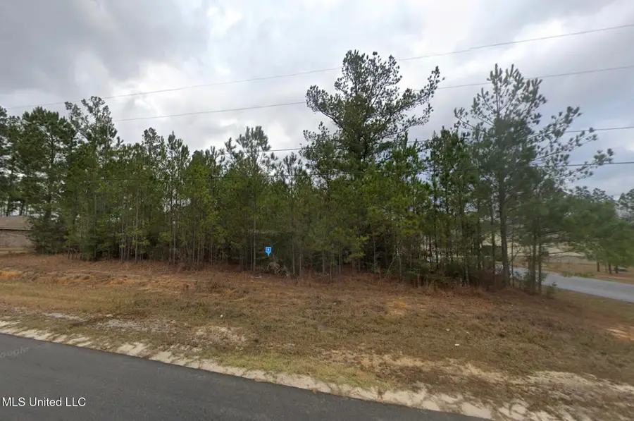 19460 Wallace Way, Saucier, MS 39574 - #2