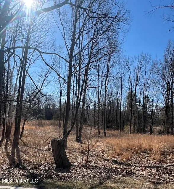 0 Austin Road, Lake Cormorant, MS 38641 - #2
