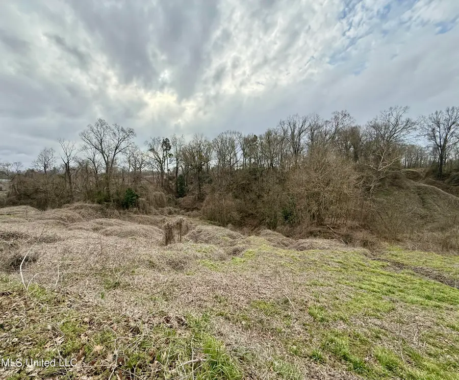 21 Southview Drive, Natchez, MS 39120 - #3