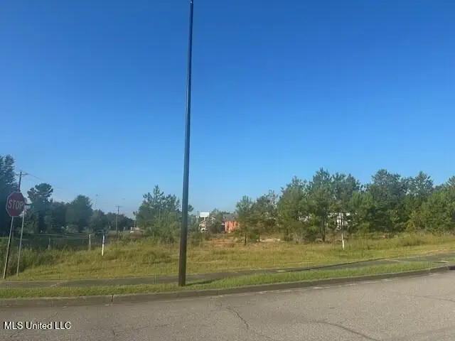 1845 Cooper Road, Picayune, MS 39466 - #2