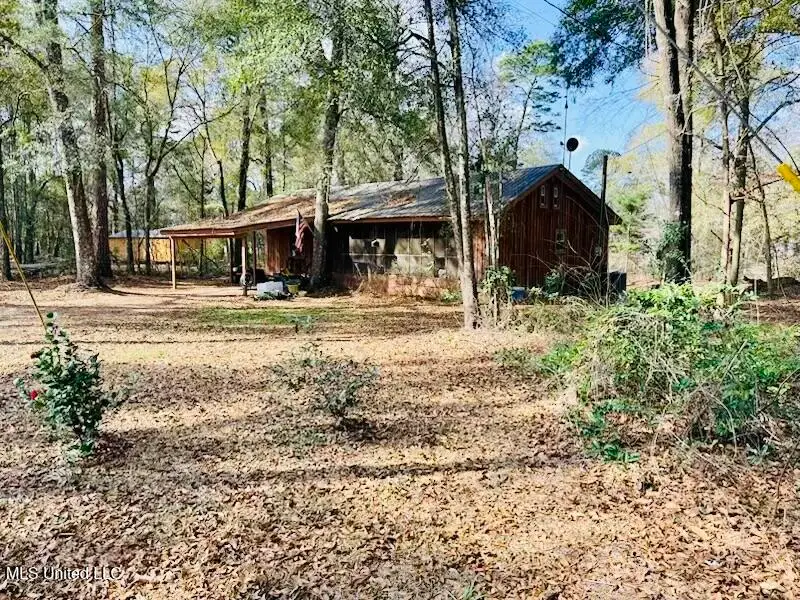 87 Russell Lane, Moselle, MS 39459 - #1
