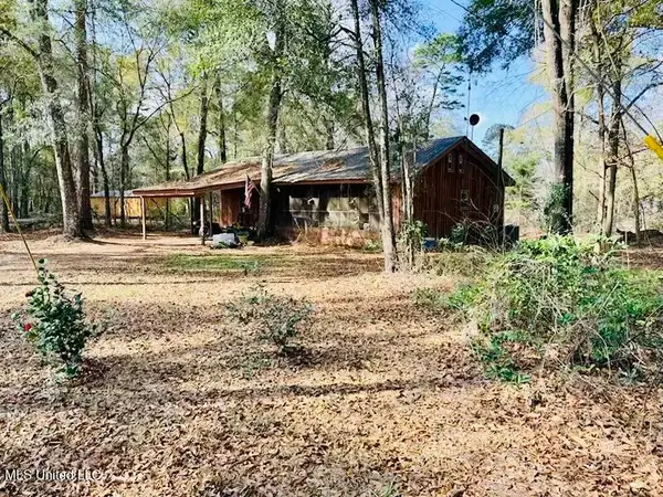 87 Russell Lane, Moselle, MS 39459