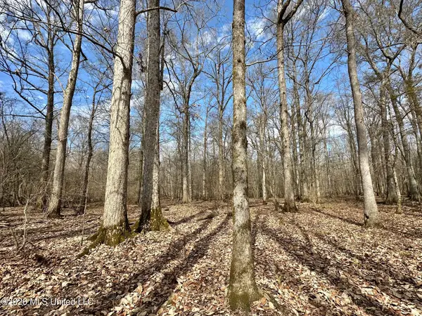 5 Scarborough Road, Carthage, MS 39051
