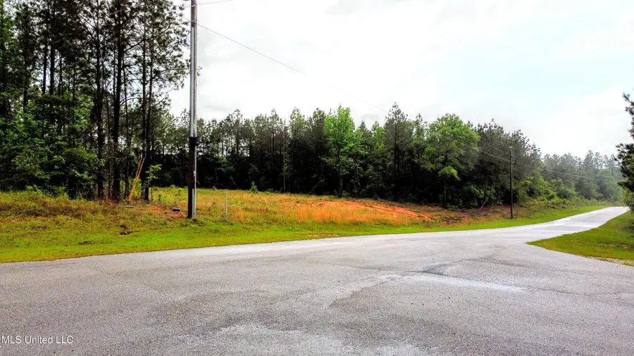 36 E Stonegate Boulevard, Perkinston, MS 39573 - #2