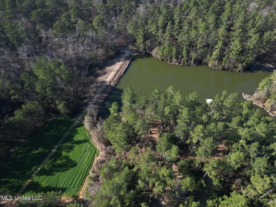 2015 Forest Road, Hazlehurst, MS 39083 - #2
