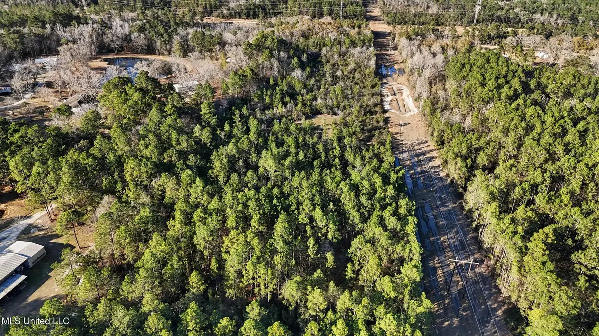 Bert Dedeaux/henry Harley Road, Saucier, MS 39574 - #1