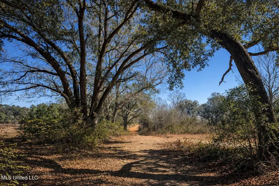 3 Standard Cemetery Road, Kiln, MS 39556 - #2