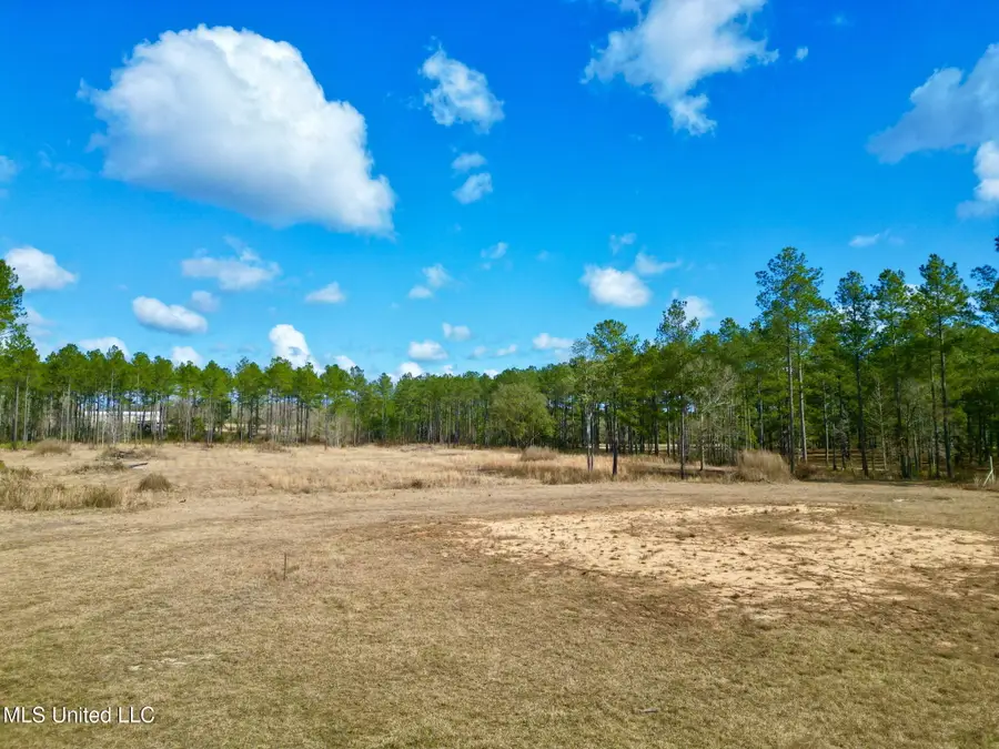 35 Thompson Lane, Carriere, MS 39426 - #2