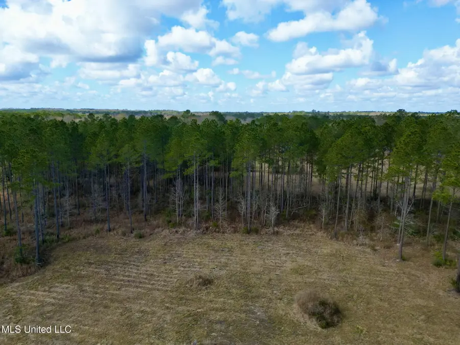 35 Thompson Lane, Carriere, MS 39426 - #3