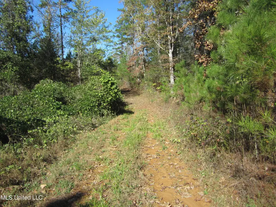 County Road 310, Tiplersville, MS 38674 - #2