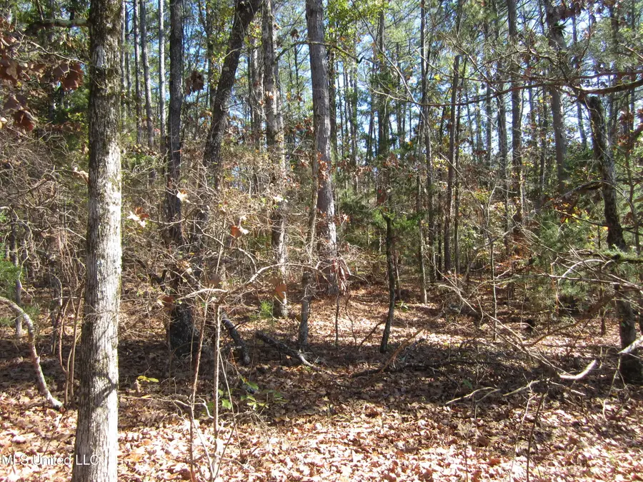 County Road 310, Tiplersville, MS 38674 - #3