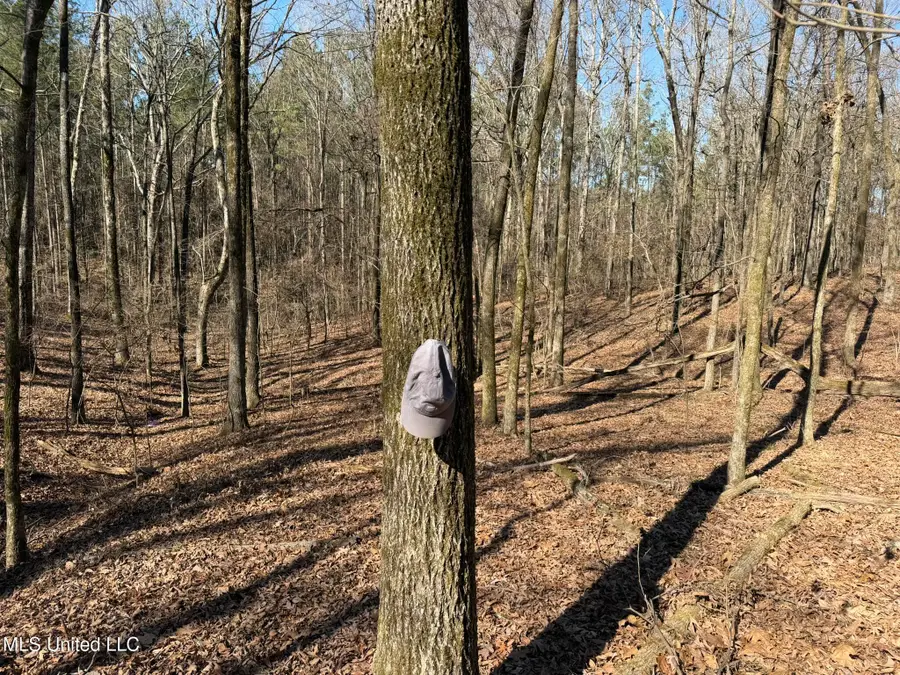 Mcmillan Drive, Holly Springs, MS 38635 - #3